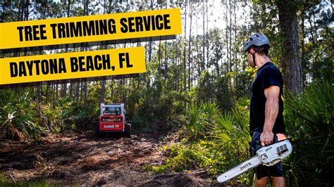 tree trimming daytona beach fl